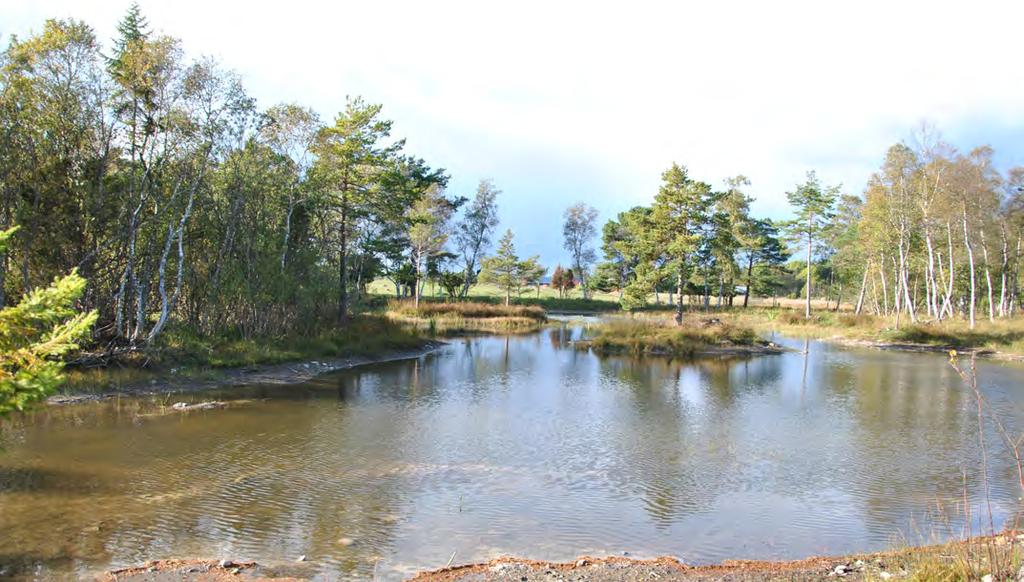 S2. Region Gotland ska verka för att Gotland ska ha en robust försörjning av dricksvatten En robust försörjning av dricksvatten kan definieras som att försörjningen ska klara att leverera