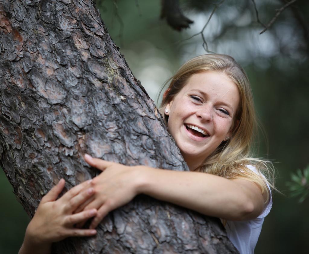 Tillskillnad från vanligt trä har träpaneler och plywood