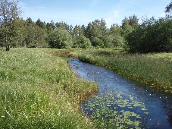 Höger foto visar även att fåran är bredare nedanför knickpointen vilket är vanligt.