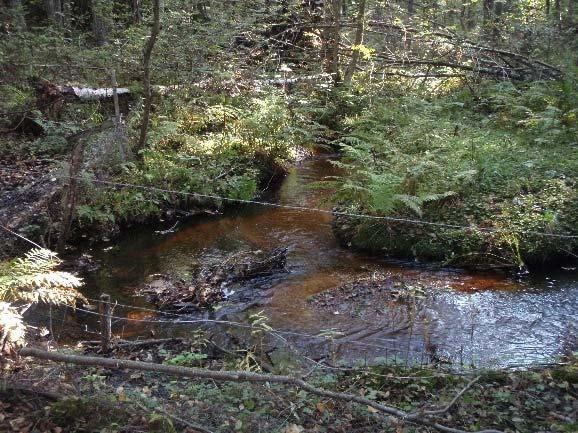 också kraftig erosion och