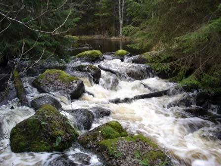 flöden vara betydelselös vid högflöde om det finns en sektion längre nedströms som dämmer kraftigare vid höga flöden (drowned-out-effekt).