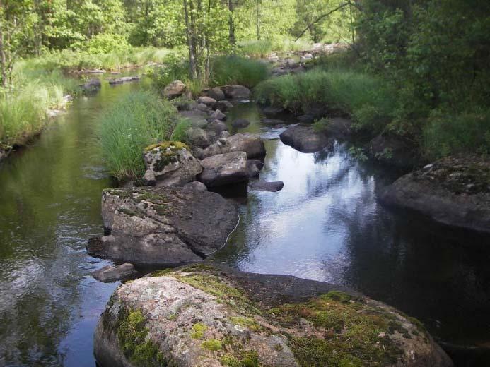 bedömning av rensningsgrad vid biotopkartering