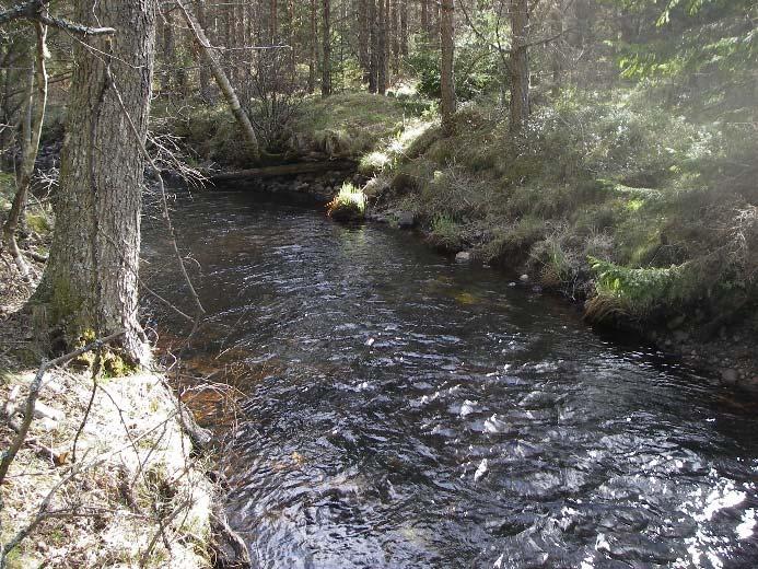 Figur 7-6. Foton som ska fungera som vägledning vid bedömning av rensningsgrad vid biotopkartering enligt Protokoll A. Fotona visar rensningsklass 3.