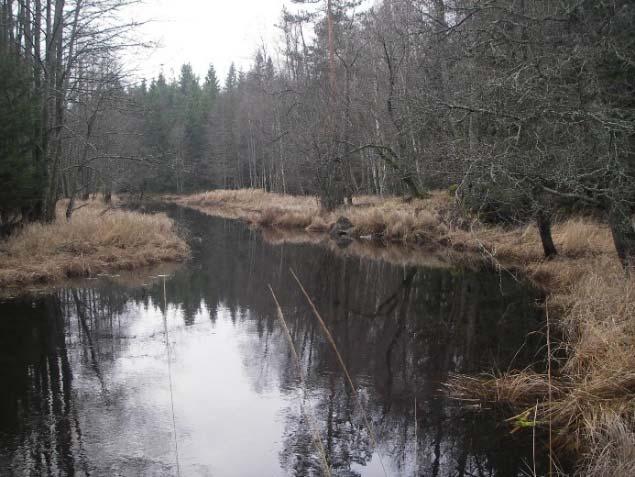 7 m 3 Figur 7-8. Exempel på hur variabeln Översvämningsfrekvens/grundvattennivå bör bedömas.