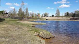 Den naturliga strandkanten behålls och viss erosion accepteras. Erosion motverkas i första hand genom att behålla vegetationen och främja naturlig föryngring av träd och buskar i strandkanten.