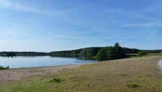 Trädplantering förstärker den mer naturliga delen av strandkanten.