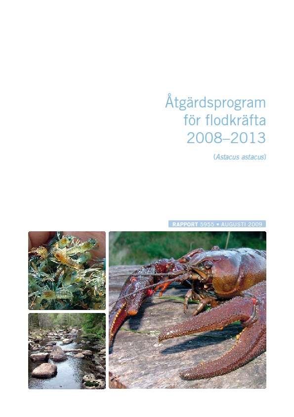 Vision Kräftpest Våra barnbarn ska kunna fiska Hot Signalkräfta (idag bara illegala utsättningar) Vattenkvalitet flodkräftor i svenska naturvatten Habitat (vattenkraft, igenslamning) Insektsgift WWFs