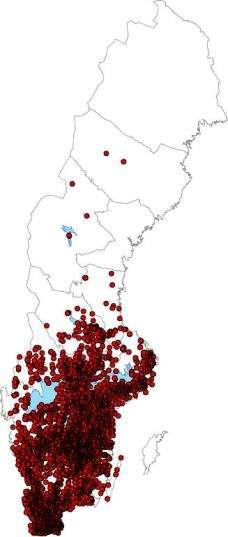 Utbredningen av kräftor i Sverige 2012 Flodkräfta Signalkräfta Knappt 1000 lokaler med flodkräfta. En minskning med 500 på bara 8 år.