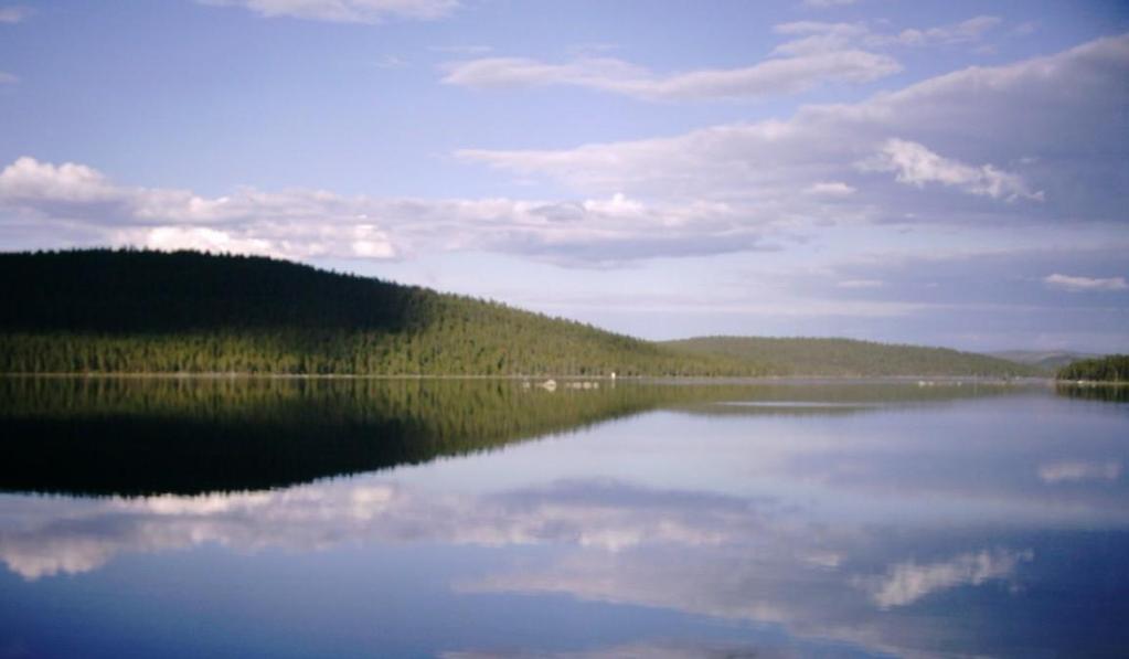 EN LITEN BIT AV LAPPLAND Det var också intressant att se, hur människorna norrifrån som har bosatt sig söderut letar och finner kanske utan att medvetet nå traditionsenliga platser.