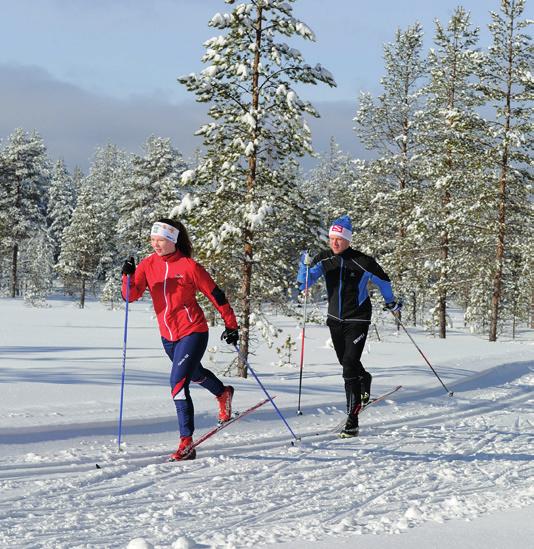 mountainbike, vandring, matskola, älgsafari Det går att äta både i Toppstugan eller i Restaurang Ugglan & Björnen