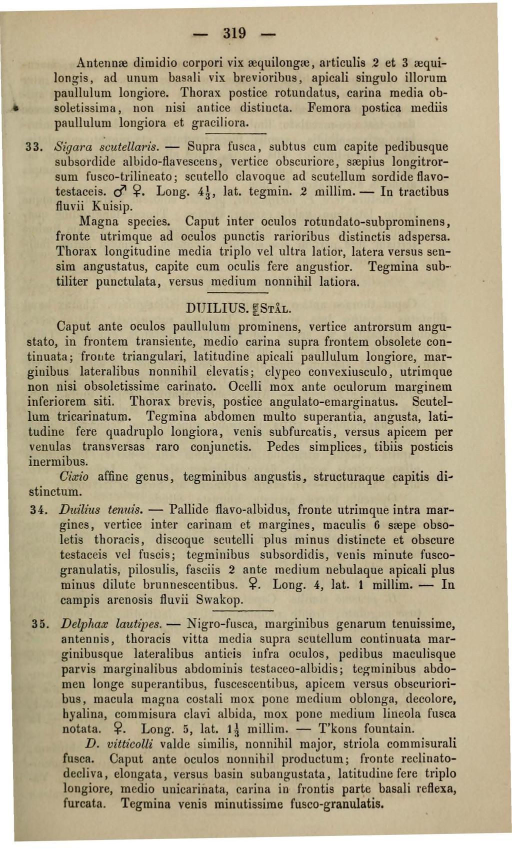 319 ' Antennre dirnidio corpori vix requilong~e, articulis.2 et 3 requi ]ongis, ad unum basali vix brevioribus, apicali singulo illorum paullulum longiore.