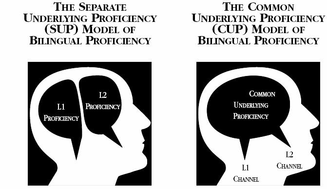 Pionjärerna: psykologen Jim Cummins (1976) The influence of bilingualism on cognitive growth: A synthesis of research findings and explanatory hypothesis och neurolingvisten