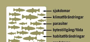 Bibehållande av biologisk mångfald Mänskligt nyttjande