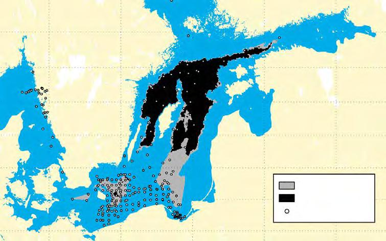 I Egentliga Östersjön, Finska viken och Rigabukten är utbredningen av syrefattiga och syrefria bottnar fortsatt omfattande (se figur 7.6 och figur 7.7). 505 Figur 7.