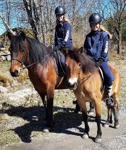Hubertusritt på Vinterholm Söndagen den 10 november kl 11.00 träffas vi på Vinterholms gård mellan Åsaka och Upphärad för att rida eller köra tillsammans.