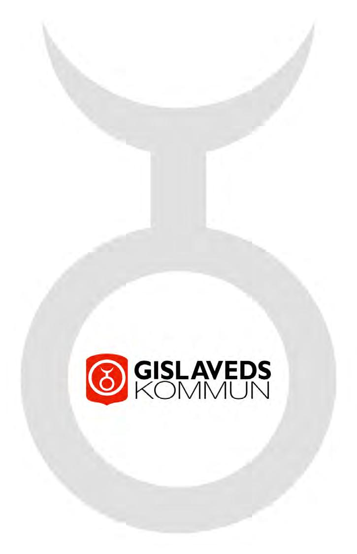 Införande av ny styrmodell baserat