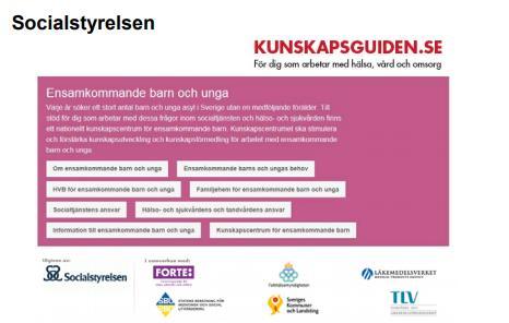 Socialstyrelsens kunskapscentrum för ensamkommande barn Start 1/4 2017. Uppdraget beräknas pågå fram till 2020.