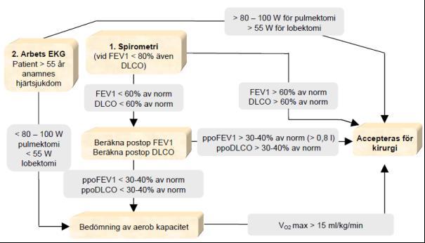 REGIONALA CANCERCENTRUM ERS/ESTS TASK FORCE redovisar i ett arbete från 2009 en systematisk genomgång av den evidens som finns för att bedöma patienten inför thorakotomi och annan onkologisk