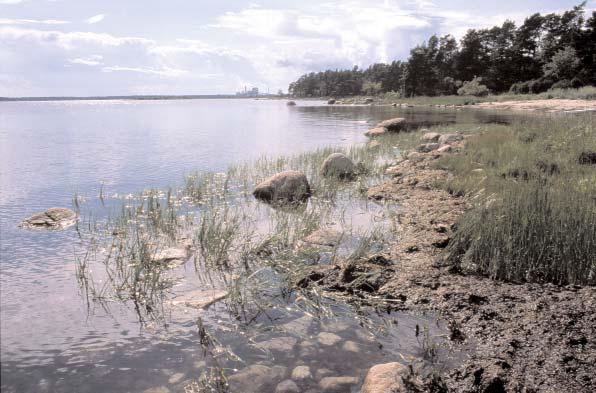 Abborrens fortplantning ännu nedsatt Abborrarna har fortfarande svårt att fortplanta sig i vattnen utanför Södra Cells massafabrik i Mönsterås. Det visar Fiskeriverkets provfiske.