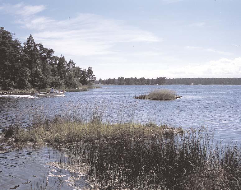 Kvävehalt i kustvattnet i februari Gamlebyviken Avvikelse enligt SNV Mycket stor Stor Tydlig Liten Ingen/obetydlig Västrum Blankaholm Simpevarp Figeholm Södra Cell Mönsteråsviken Timmernabben