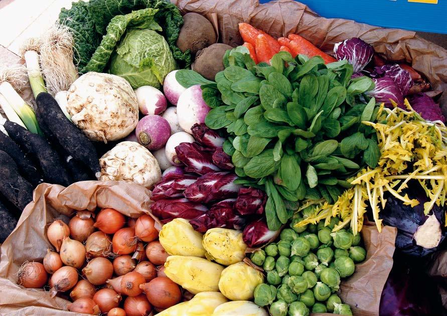 عادات غذایی مطلوب آنچه می خورید و می آشامید اهمیت زیادی برای تندرستی و سالمتی شما دارد.
