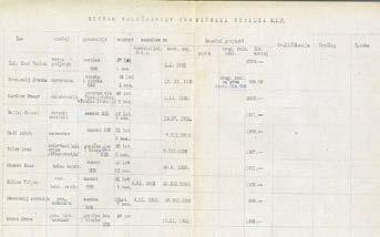 uslužbencev tehničnega oddelka MEP, 1923, SI_PAM/0005 Mestna občina Maribor 1528_1941, AŠ 520, arhiv Pokrajinskega arhiva Maribor Število delavcev s poklicem v elektro stroki se je postopoma pričelo