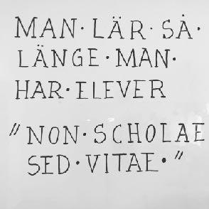 Sjärnglandtändning! Skolans uppgift är att låta varje enskild elev finna sin unika egenart och därigenom kunna delta i samhällslivet genom att ge sitt bästa i ansvarig frihet.