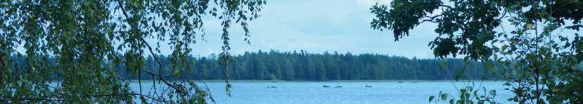 FÖRORD INLEDNING Skogen är viktig för Småland och är en del av lösningen på flera av dagens samhällsutmaningar.