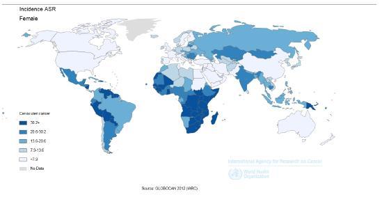 KAPITEL 2 Inledning Cervixcancer är den fjärde vanligaste cancersjukdomen bland kvinnor i världen.