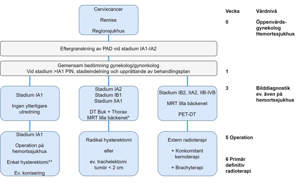 KAPITEL 6 Utredning Sammanfattning Diagnos verifieras alltid histologiskt med biopsi för lokalt synlig eller avancerad tumör för mikroskopiska tumörer utförs konisering och cervixabrasio.