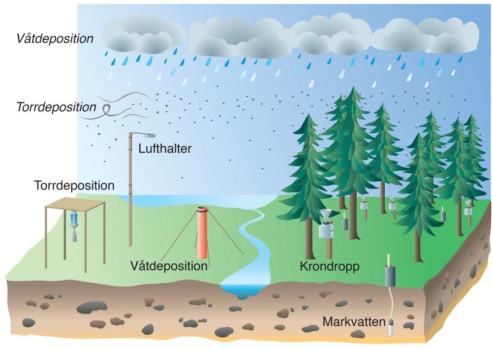 Figur 2. Inom Krondroppsnätet mäts lufthalter, våt- och torrdeposition samt markvattenkemi. Nedfallet mäts dels på öppet fält och dels under trädkronorna som krondropp.