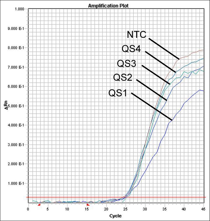 28: Detektion av Internkontrollen (IC) genom detektion av en VICfluorescenssignal (ABI PRISM 7900HT SDS)