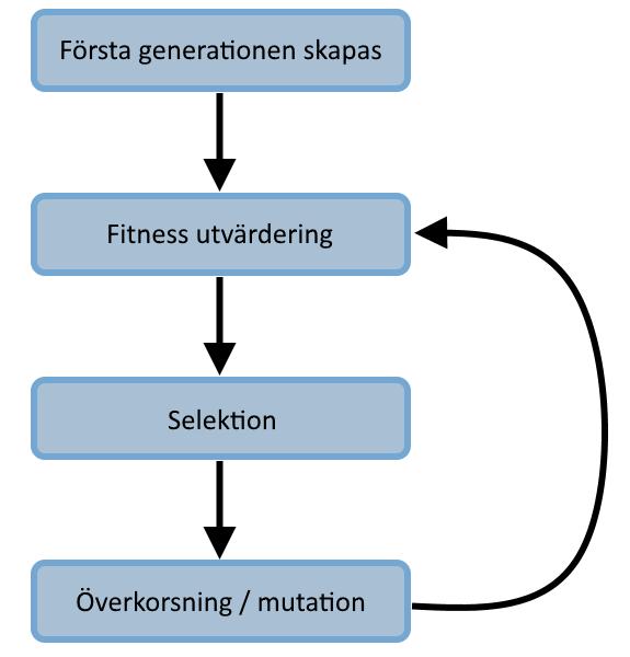 Figur 5 Evolutionscykeln av en evolutionär algoritm. I Figur 5 illustreras cykeln som en evolutionär algoritm ofta följer. Varje iteration i denna cykel kallas för en generation.