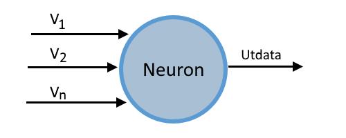 mängd neuroner. Han skriver att en verklig hjärna kan innehålla upp mot 100 miljarder neuroner medan ett ANN ofta innehåller så lite som tio neuroner eller på sin topp upp mot ett par tusen neuroner.