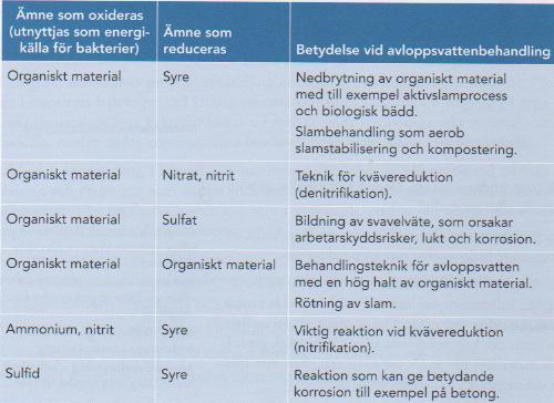 Olika biologiska nedbrytningsförlopp och deras betydelse för avloppsvattenbehandlingen.