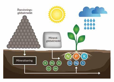 Kol (C) och syre (O) får växterna från atmosfären och väte (H) från vattnet. De resterande 13 näringsämnena tar växterna upp från markens reserver och från gödseln.