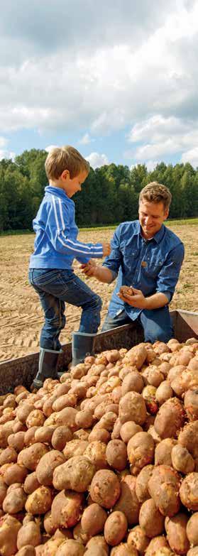 Sortimentet av potatis- och trädgårdsgödsel Yaras sortiment av gödselmedel innehåller ett täckande urval av produkter för en balanserad gödsling av potatis och trädgårdsväxter.