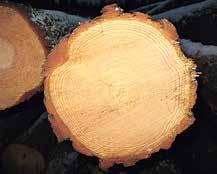 Skogsgödsling är en god placering Gödsling av moskog ger utomordentlig avkastning. De bästa objekten är gallrade barrträdbestånd av lingonoch blåbärstyp.