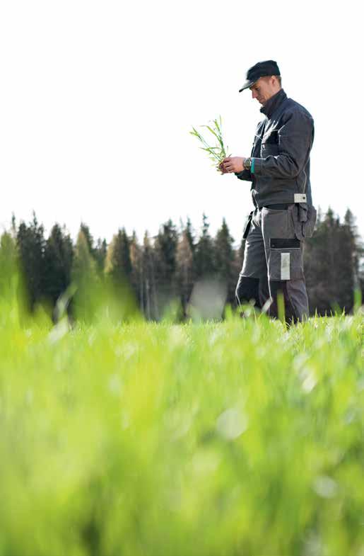 Delad gödselgiva till spannmål och oljeväxter I Finland utvecklas växterna snabbt på grund av den korta växtperioden, och de behöver därför stora mängder av alla näringsämnen redan under början av