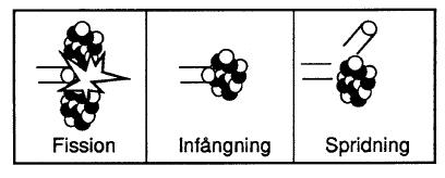 Neutronens liv och död Klyva en kärna Frigör 200 MeV och 2-3 neutroner Infångas i en kärna Bränslet Moderatorn Reaktormaterial Läcka ut ur reaktorn Spridas mot en kärna och förlora energi Infångning