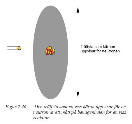 Mikroskopiskt tvärsnitt sannolikhet för en viss kärnreaktion Träffytans storlek (tvärsnittet) upplevs olika av olika projektiler och energier och beror också på vilken reaktion som avses.
