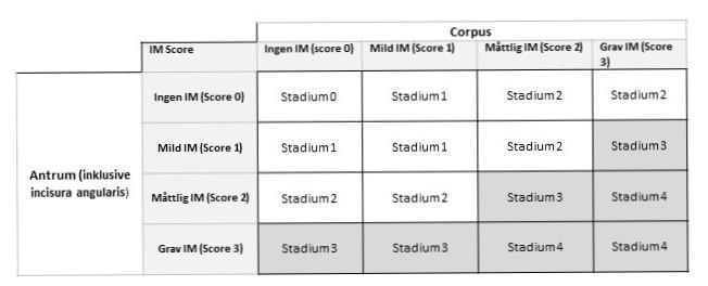 Tabell 1. OLGIM stadieindelning. IM = intestinal metaplasi. Gråtonade stadier (stadium 3-4) bör enligt rekommendationerna följas upp.