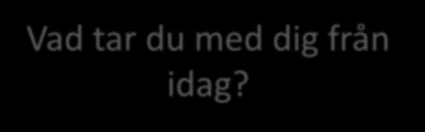 Vad tar du med