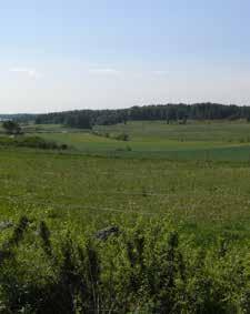 Grönplan för Strängnäs kommun del B4 Samrådshandling 2017-09-13 / 13 Bilaga 8:157 Panoramautsikt över jordbrukslandskapet. 6 Förutsättningar Båtbrygga i Stallarholmsfjärden.