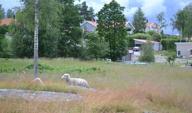 Grönplan för Strängnäs kommun del B4 Samrådshandling 2017-09-13 / 19 Bilaga 8:163 Betesmarker i Sundby strand. 6.2 Områden av ekologisk betydelse Inledning Områden som lyfts fram i avsnittet 6.