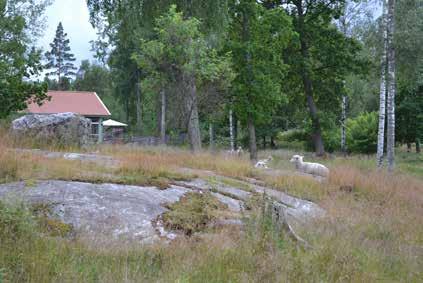 Grönplan för Strängnäs kommun del B4 Samrådshandling 2017-09-13 / 31 Bilaga 8:175 Båtliv. Betesmarker och fornlämningsområden insprängda i bebyggelsen.