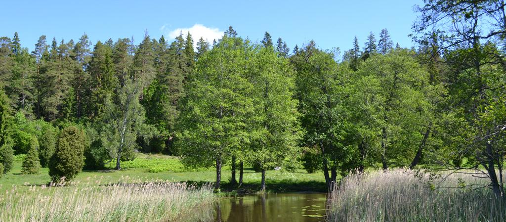 5. Strandskyddsregler Strandskydd är en form av naturskydd med syfte att trygga tillgången av platser för bad och friluftsliv åt allmänheten, samt med syfte att skydda livsvillkoren för växter och