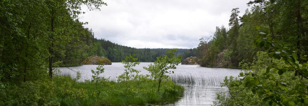 Vattenplan Strängnäs Bilaga kommun 9:42 / 37 3. Mellan-Marviken Beskrivning Mellan-Marviken är en mindre sjö i Norrströms huvudavrinningsområde och tillhör åtgärdsområde Råckstaån.