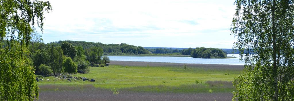 40 / Vattenplan Strängnäs kommun Bilaga 9:45 6. Mälaren-Sörfjärden Beskrivning Mälaren-Sörfjärden är en grund vik som ligger i kommunens nord-västra del. Vattenförekomsten delas med Eskilstuna kommun.