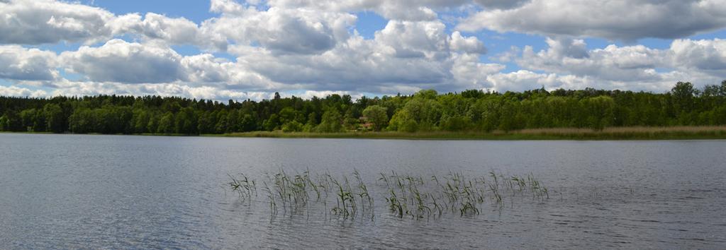 Vattenplan Strängnäs Bilaga kommun 9:54 / 49 15. Visnaren Beskrivning Visnaren är en mindre insjö som ligger i södra delen av kommunen. Vattenförekomsten ligger i sin helhet inom Strängnäs kommun.